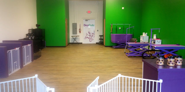 dog grooming Photo2